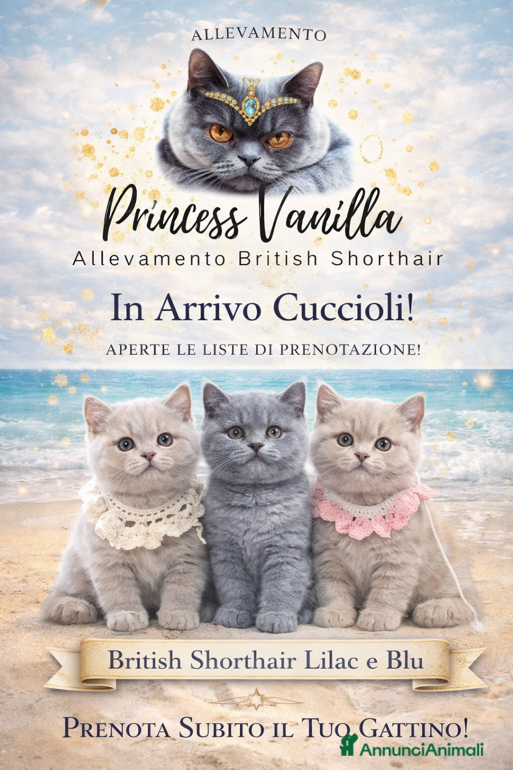 British gatti Cuccioli British blu - Annuncio 1