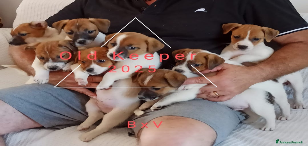 Immagine della galleria {{count}}