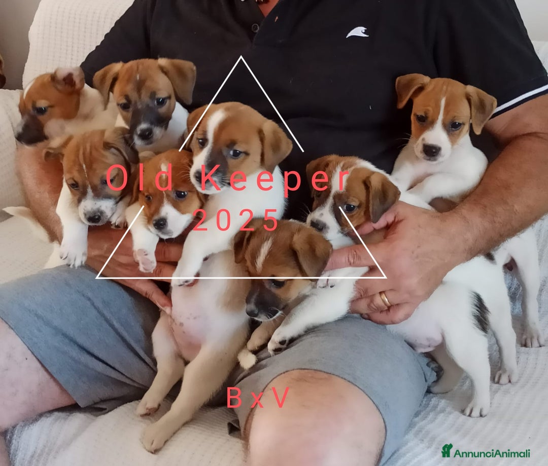 Immagine della galleria {{count}}