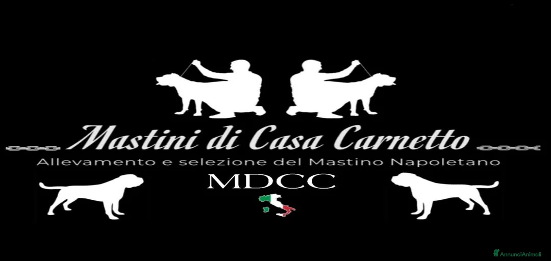 Immagine della galleria {{count}}