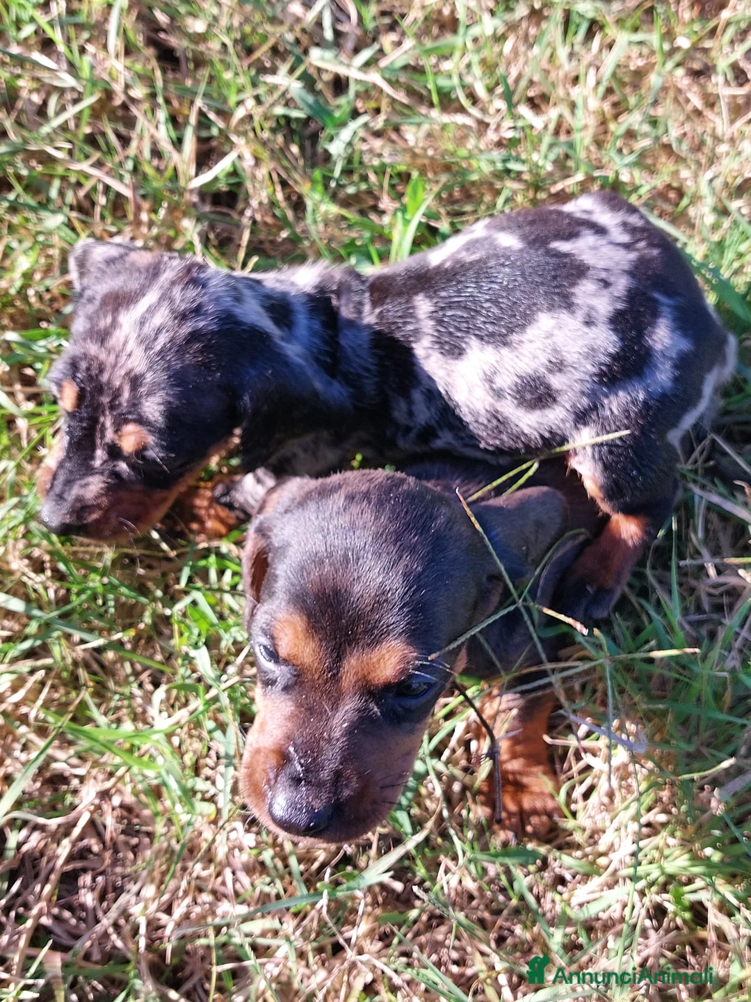 Immagine della galleria {{count}}