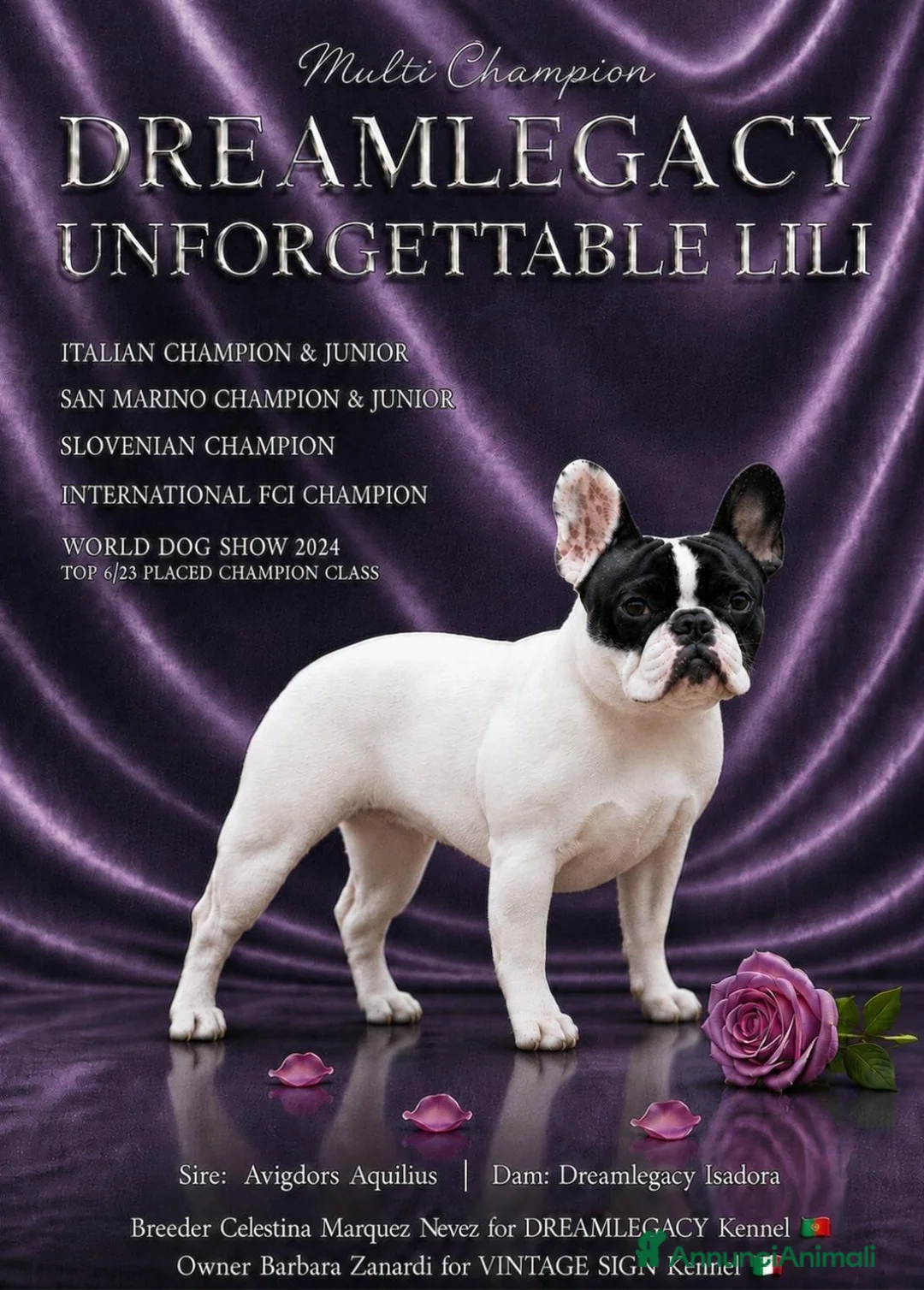 Bulldog Francese cani in vendita: Maschi di Bouledogue Francese con pedigree Enci - Annuncio 1