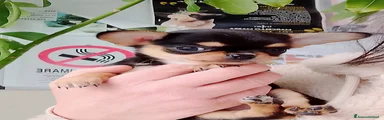 Chihuahua Cucciolo 2