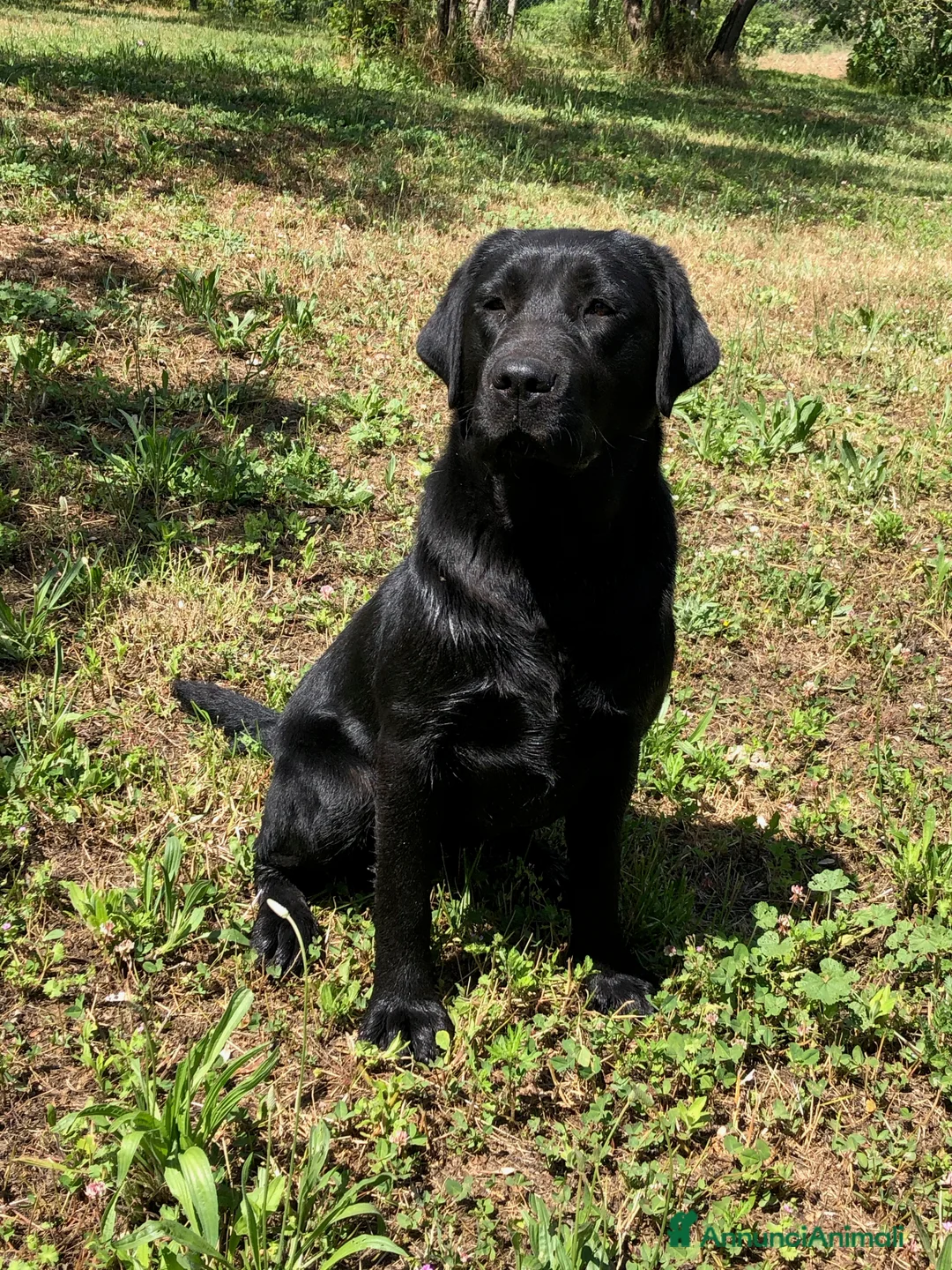 Immagine della galleria {{count}}