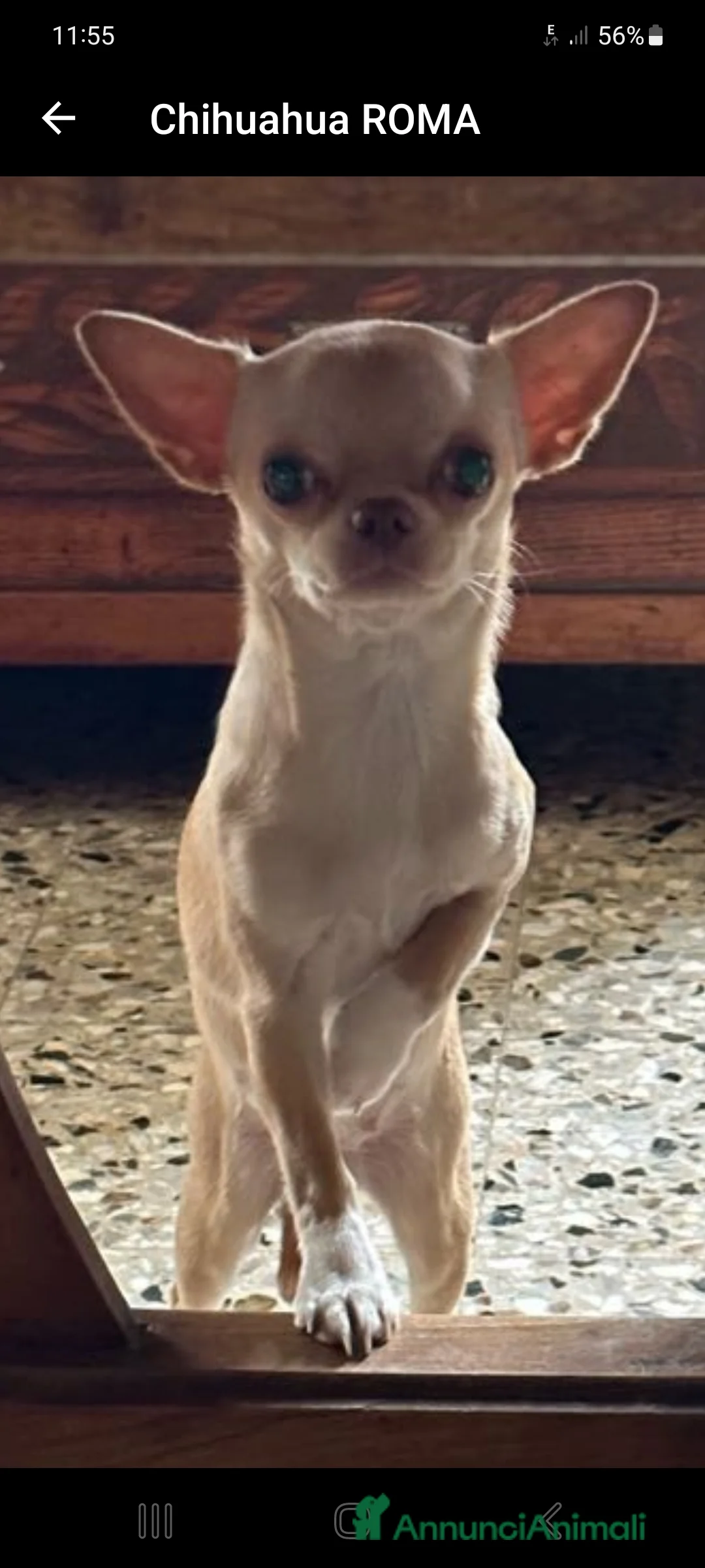 Immagine della galleria {{count}}