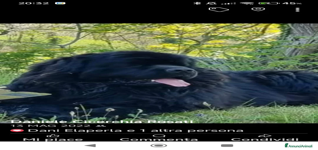 Immagine della galleria {{count}}