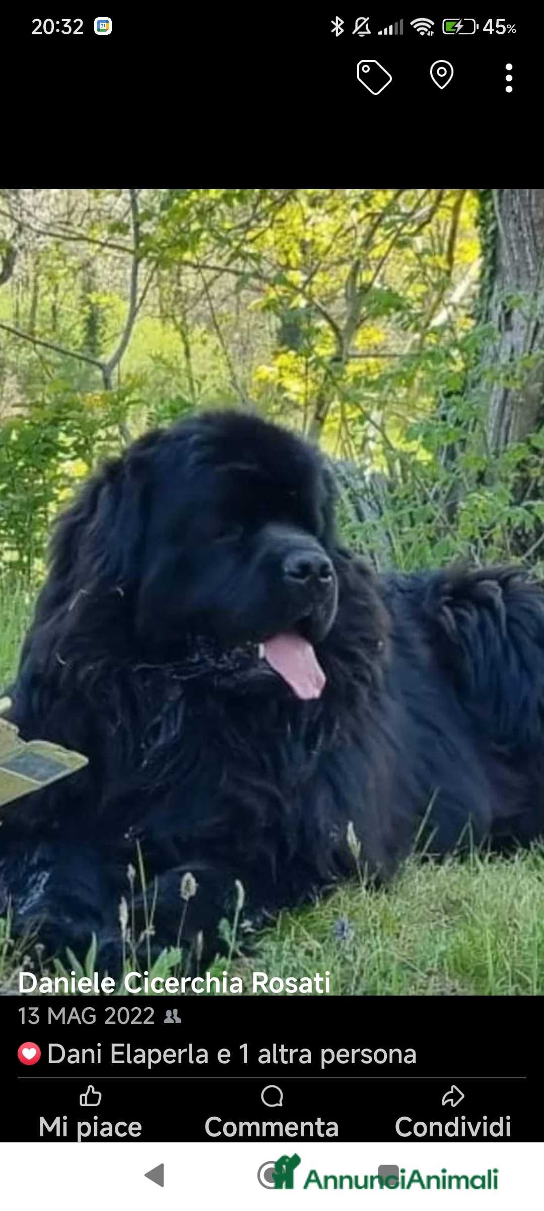 Immagine della galleria {{count}}