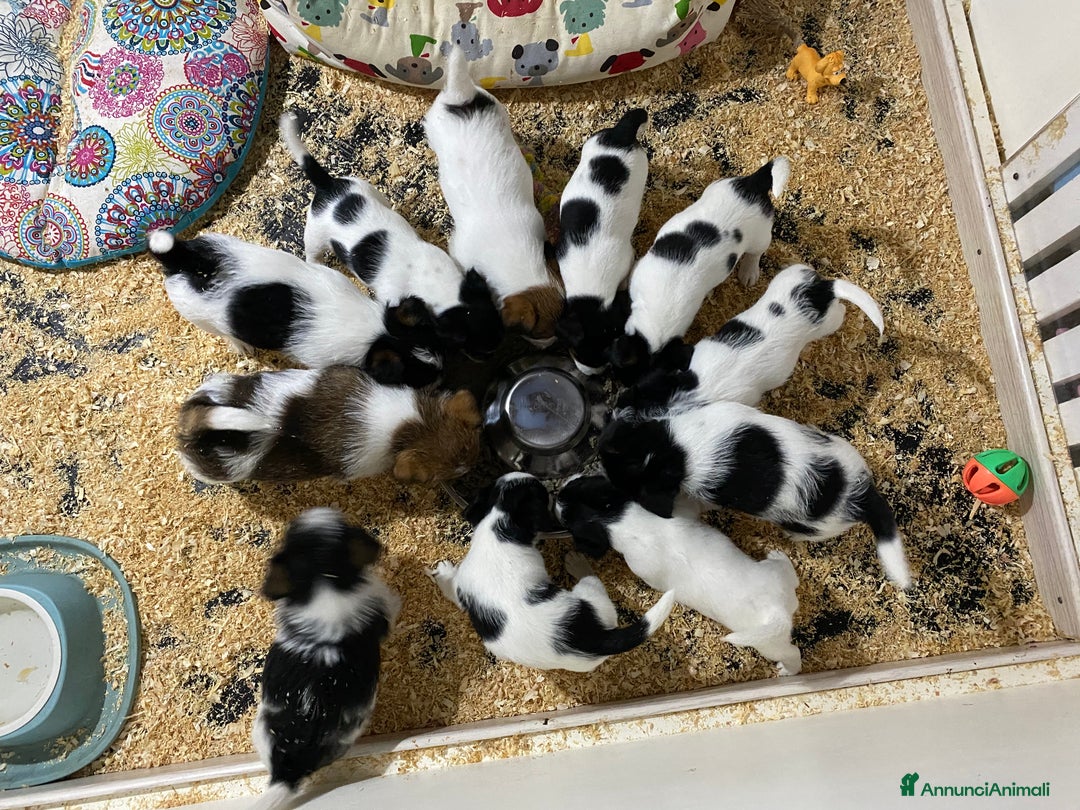 Immagine della galleria {{count}}