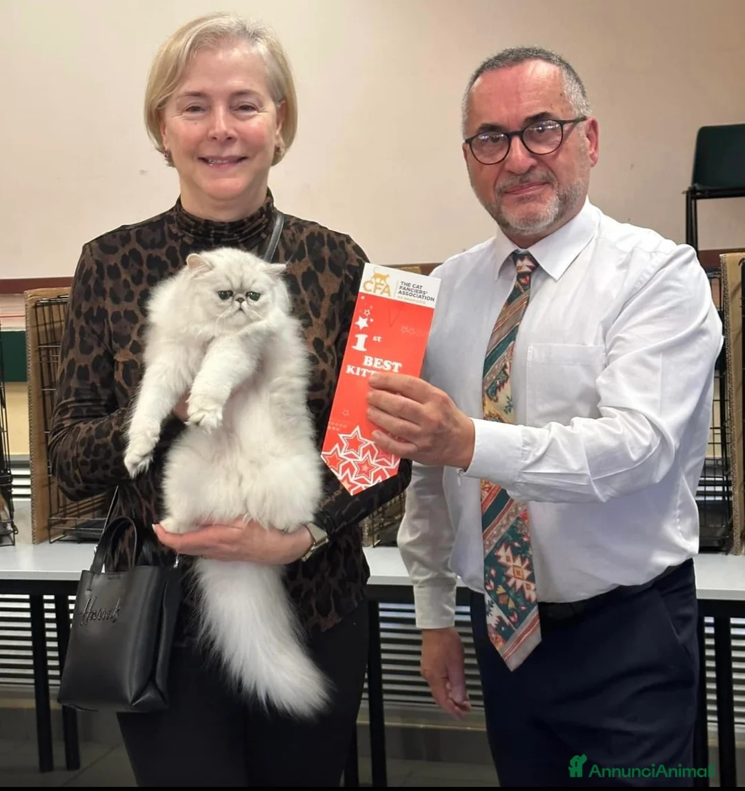 Immagine della galleria {{count}}