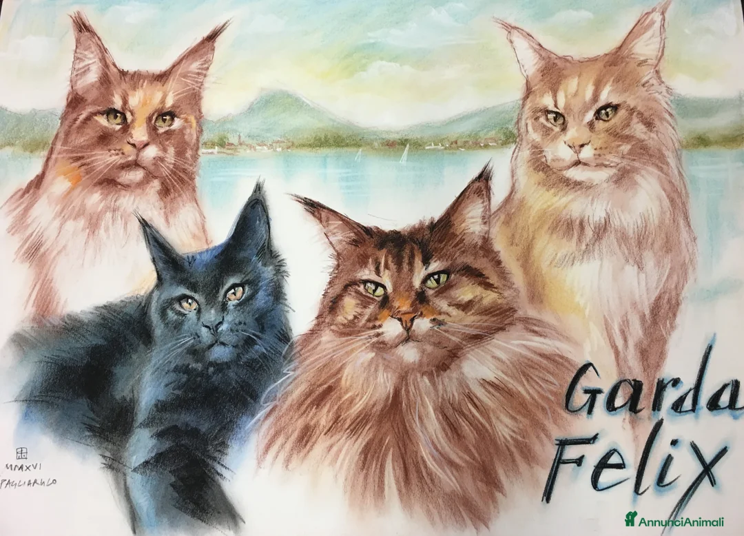 Immagine della galleria {{count}}