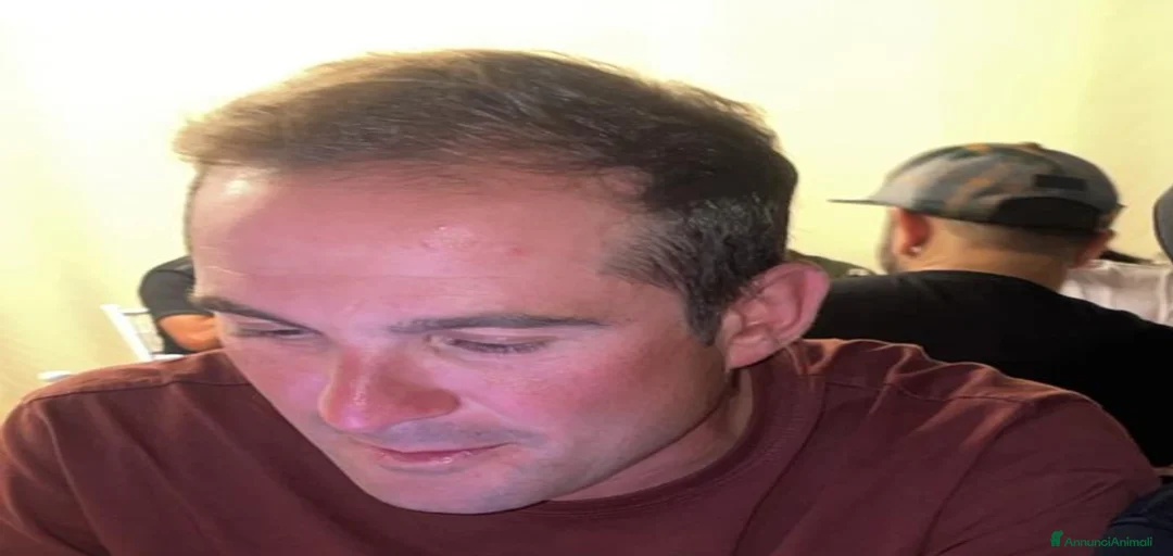 Immagine della galleria {{count}}