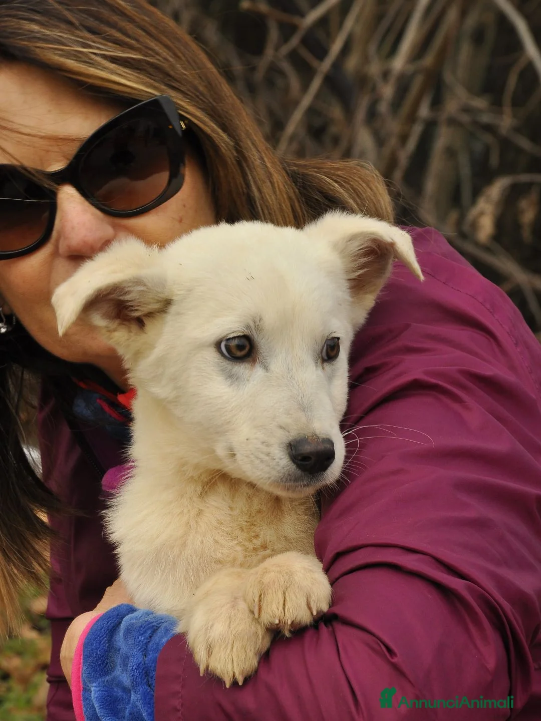 Altre razze cani in regalo: RINO  - Annuncio 3