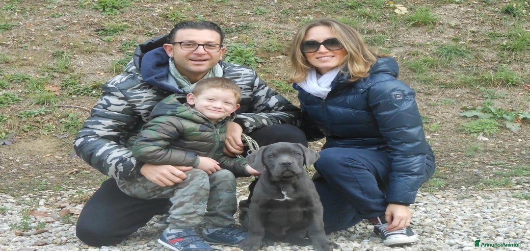 Immagine della galleria {{count}}