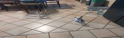 Chihuahua cani in vendita: Cucciola chihuahua femmina con pedigree  - Annuncio 1