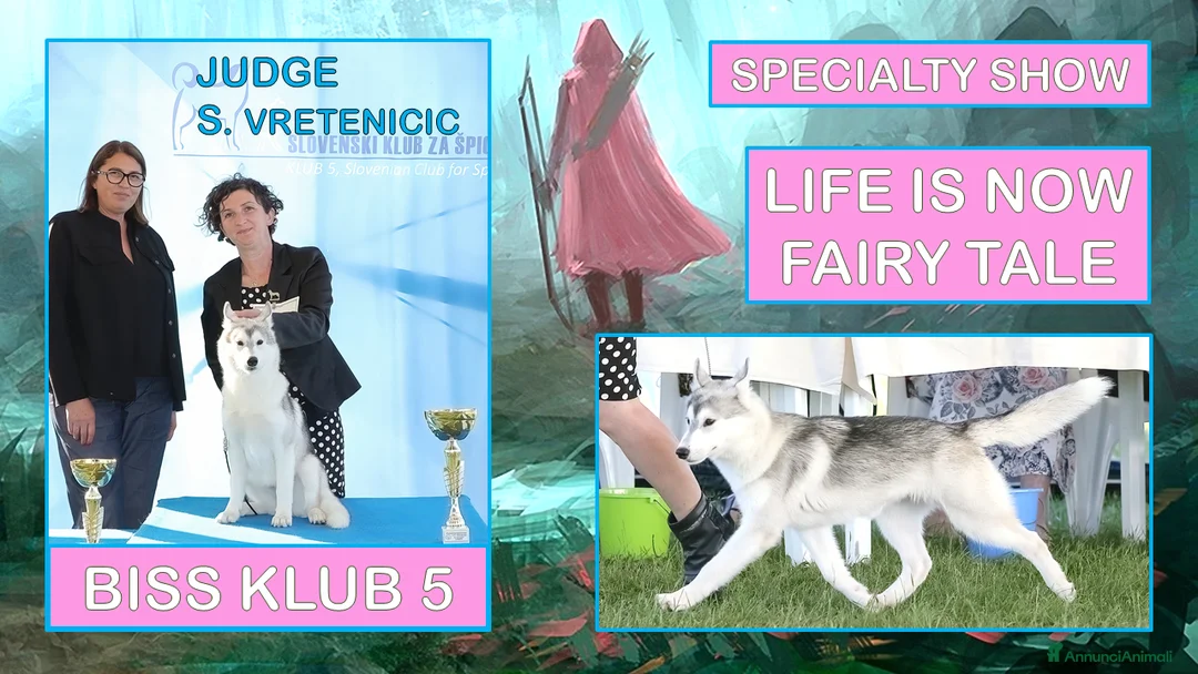 Immagine della galleria {{count}}