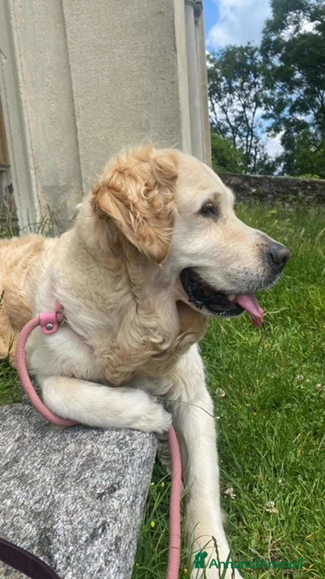 Immagine della galleria {{count}}