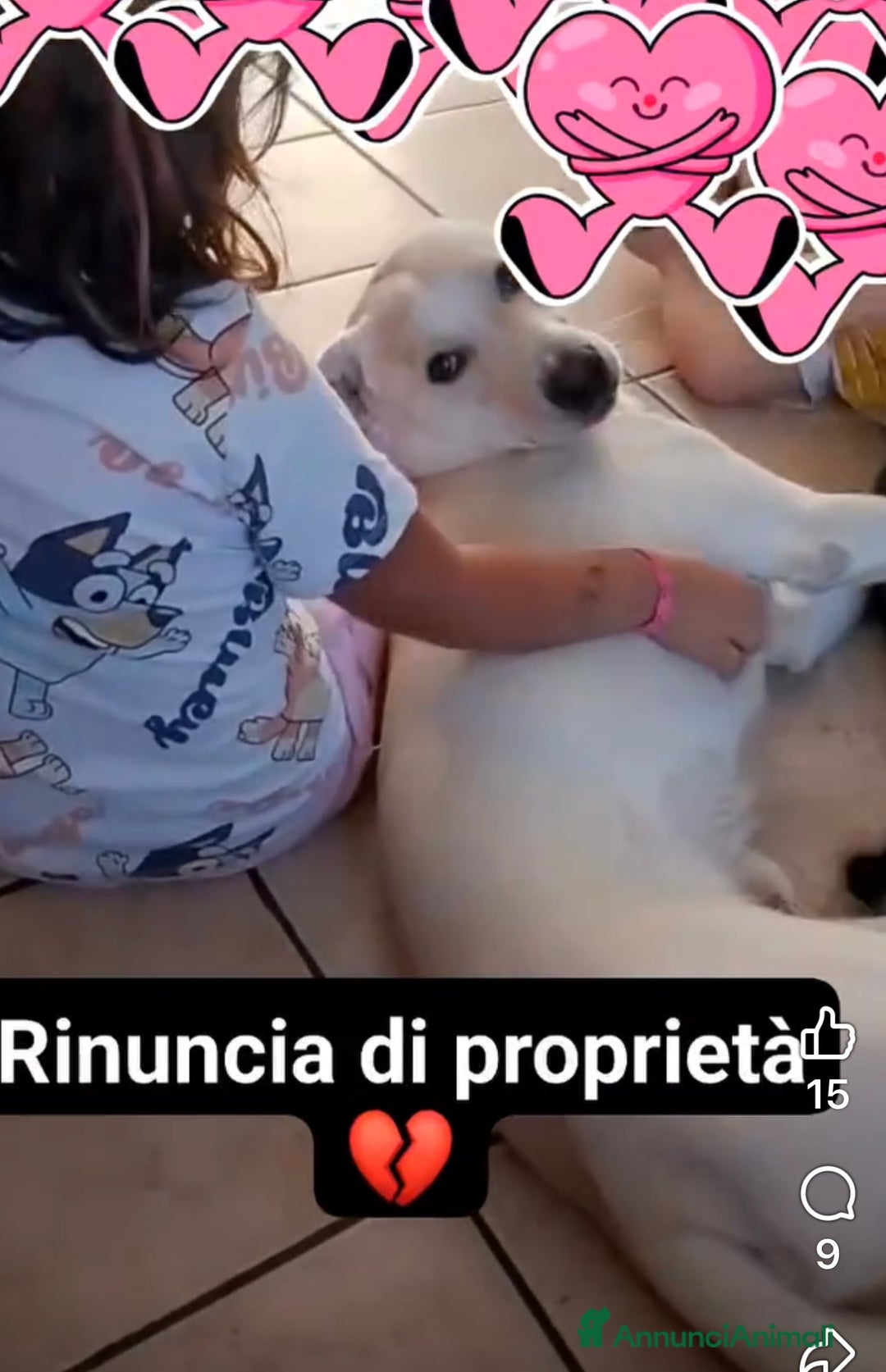 Meticcio cani in regalo: Fiocco il cucciolone che adora i bimbi - Annuncio 2