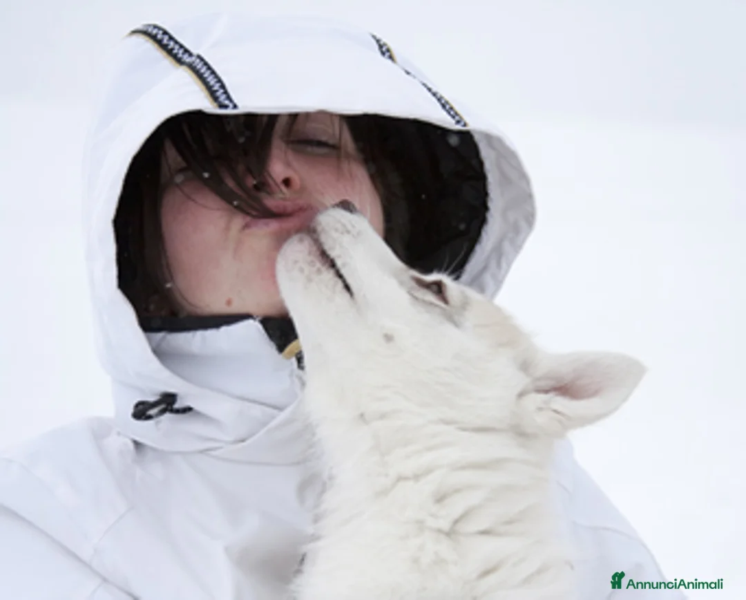 Immagine della galleria {{count}}