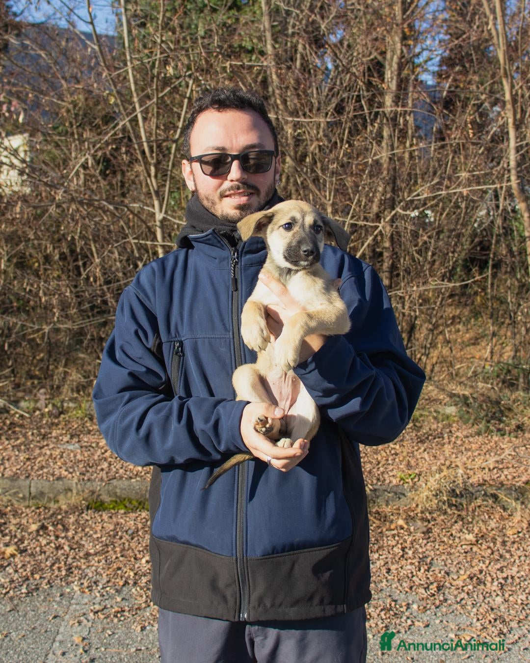 Altre razze cani  LILLY - Annuncio 2