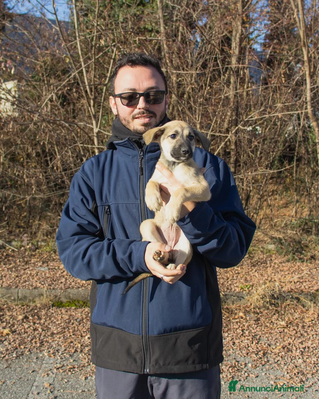 Altre razze cani in regalo:  LILLY - Annuncio 2