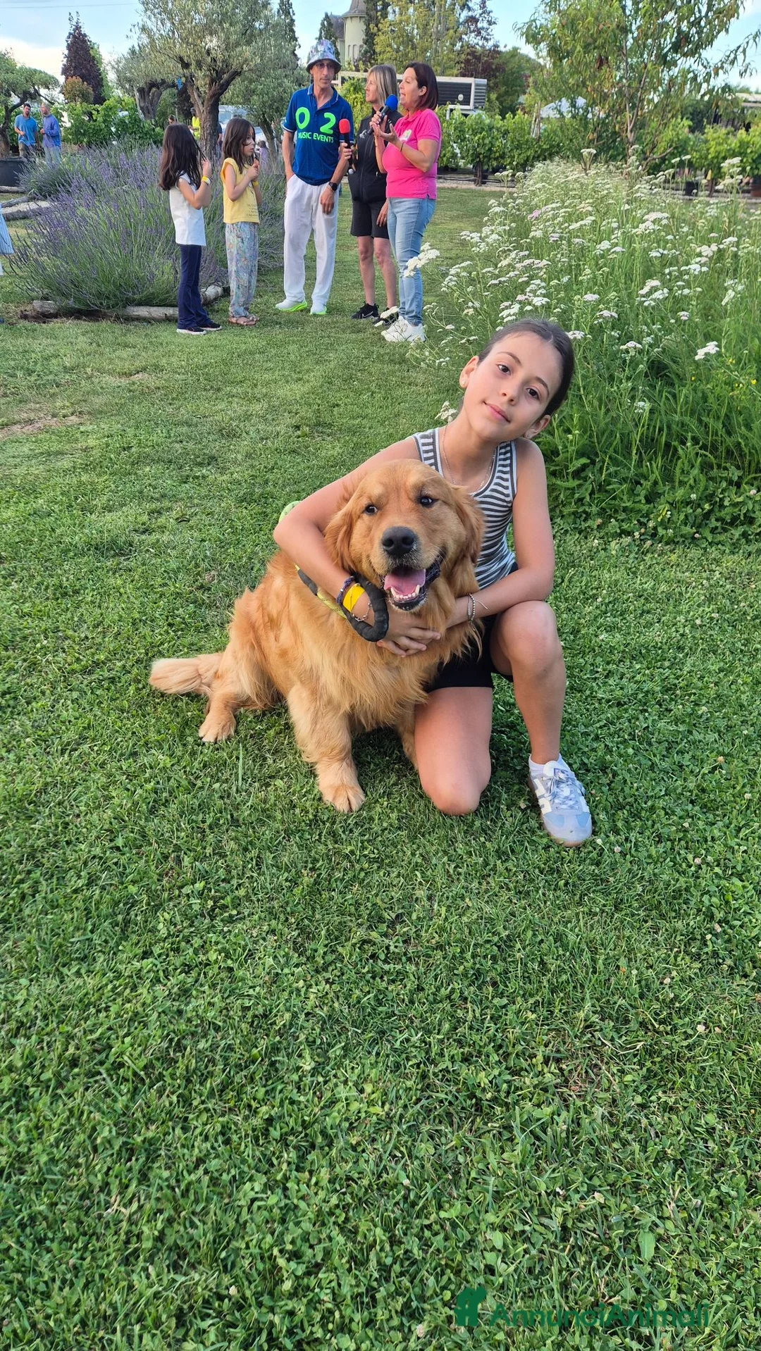 Golden Retriever cani per accoppiamento: Golden retriever maschio per accoppiamento a Provincia di Alessandria - Annuncio 2