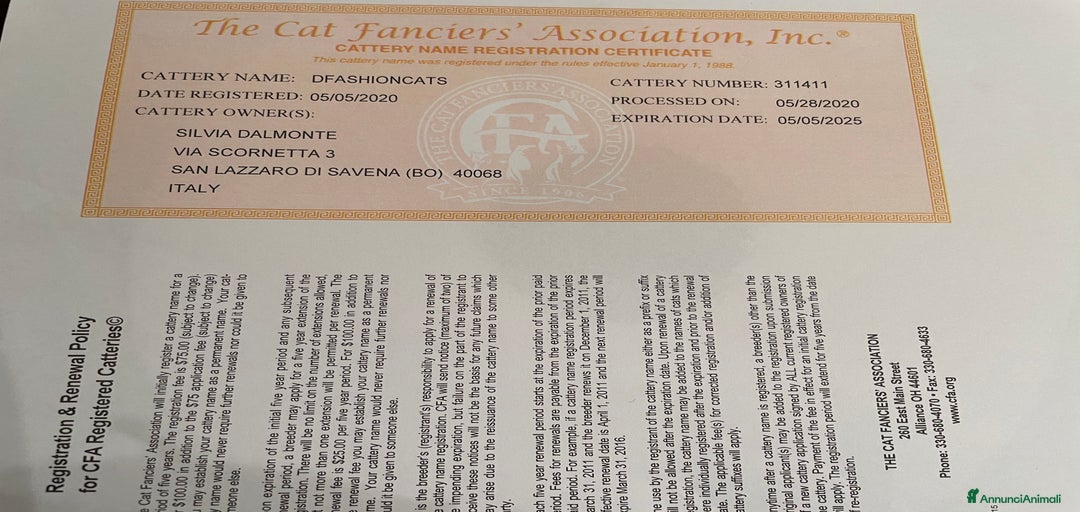 Immagine della galleria {{count}}