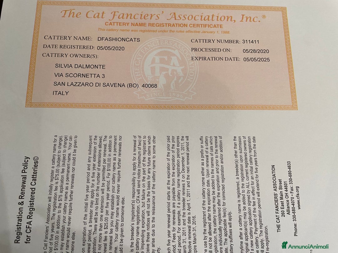 Immagine della galleria {{count}}