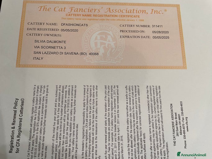 Immagine della galleria {{count}}