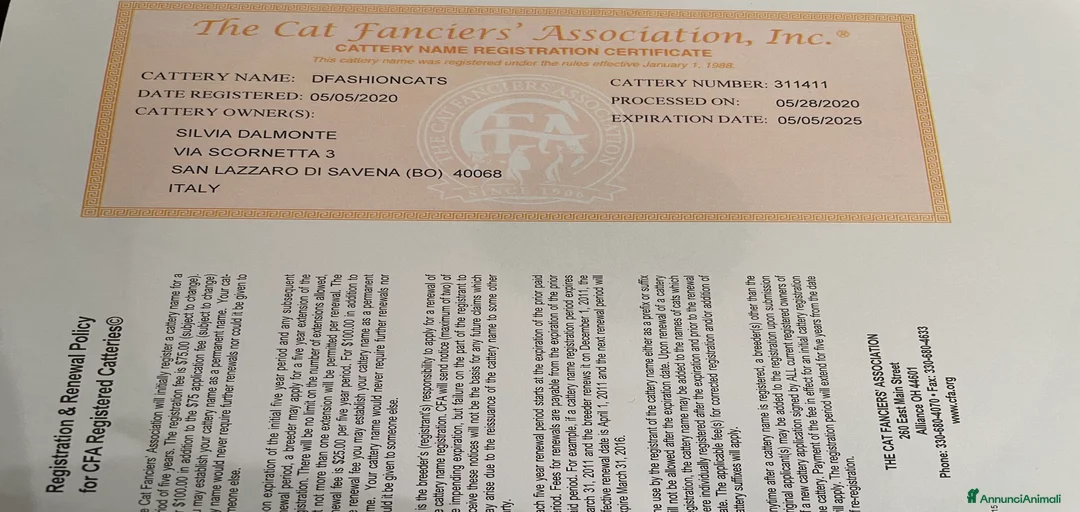 Immagine della galleria {{count}}