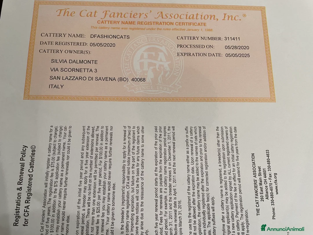 Immagine della galleria {{count}}