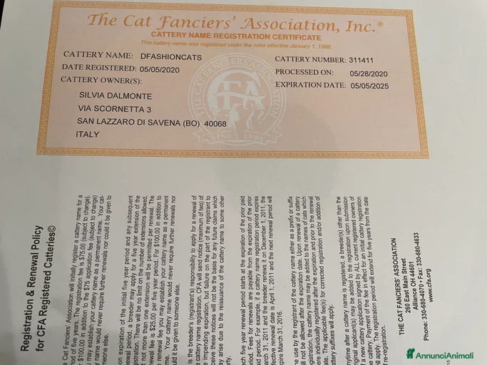 Immagine della galleria {{count}}