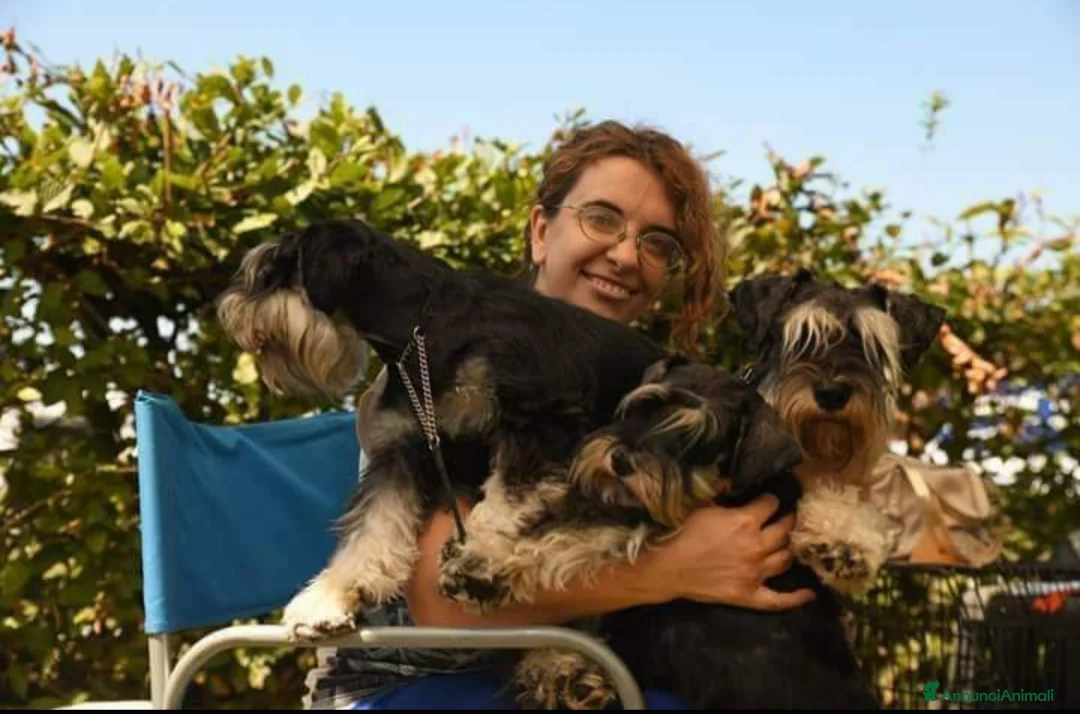 Immagine della galleria {{count}}