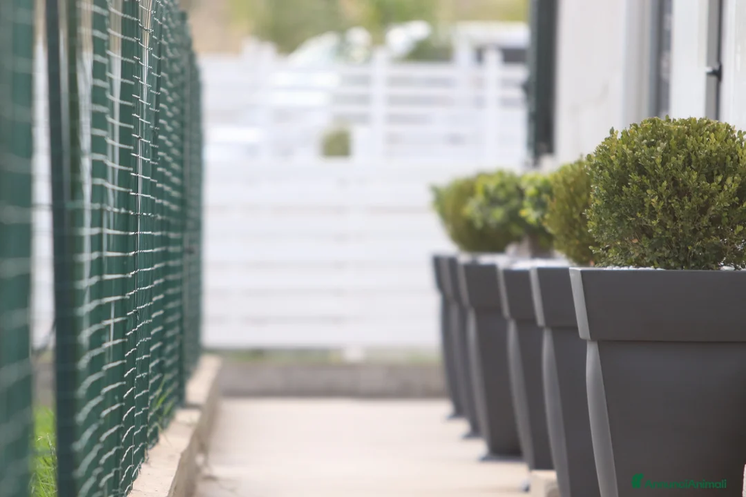 Immagine della galleria {{count}}