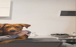 Altre razze cani in regalo: Regalo Paco - Immagine 2