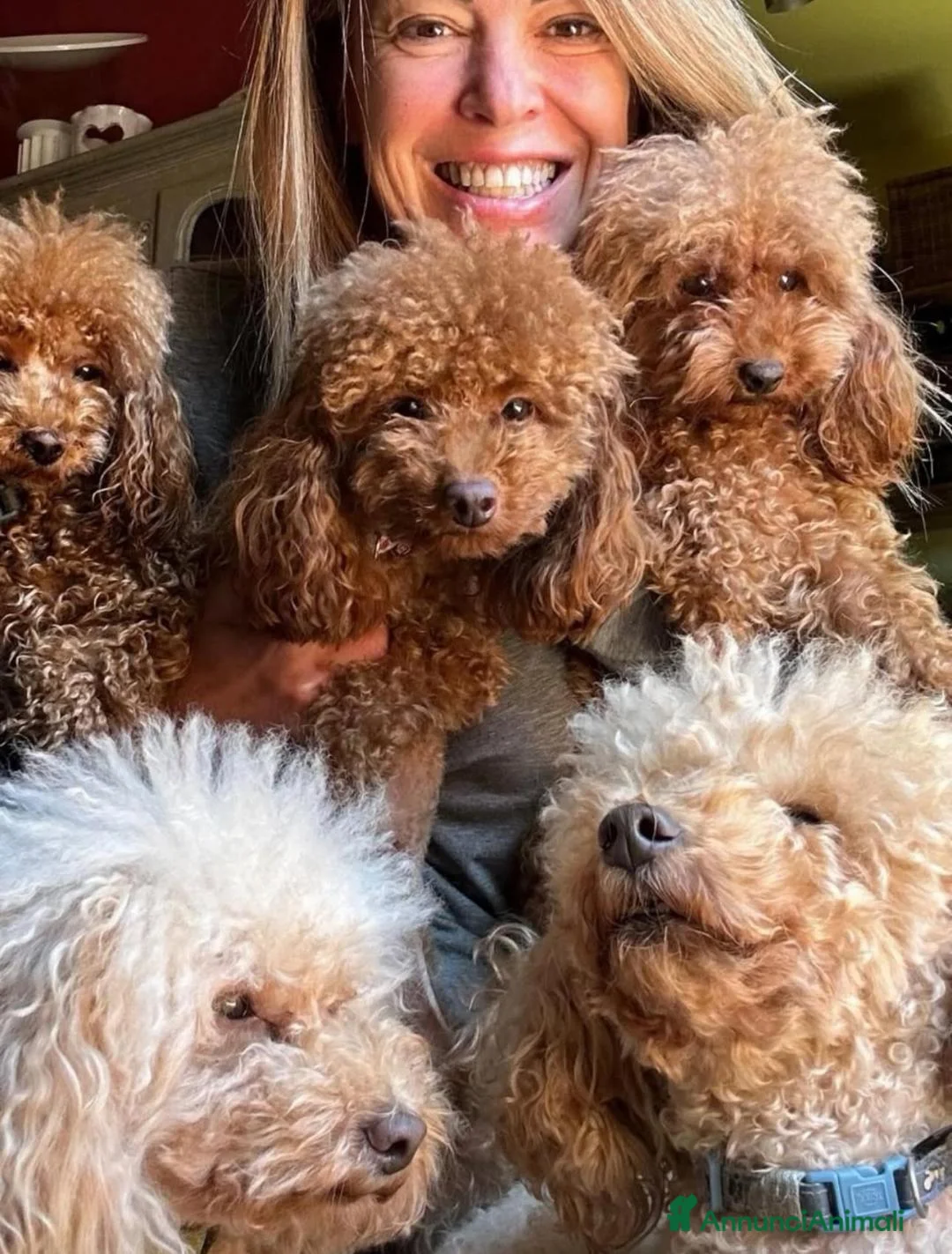 Immagine della galleria {{count}}