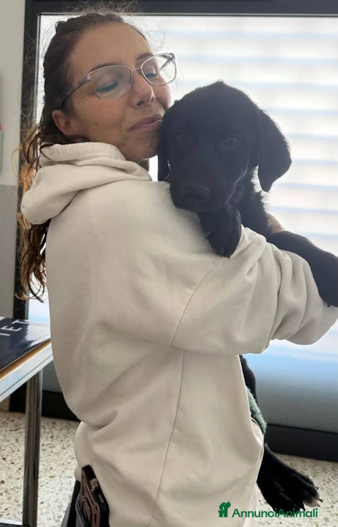 Meticcio cani in regalo: Coco' 4 mesi, femmina simil Labrador  - Annuncio 2