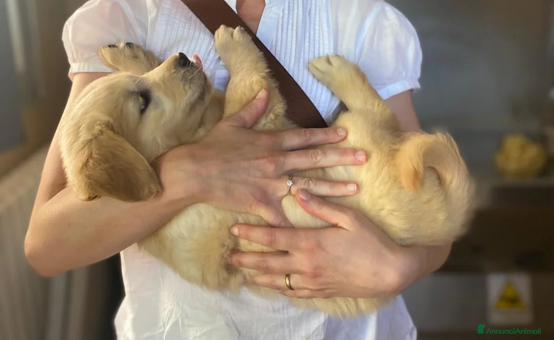 Immagine della galleria {{count}}