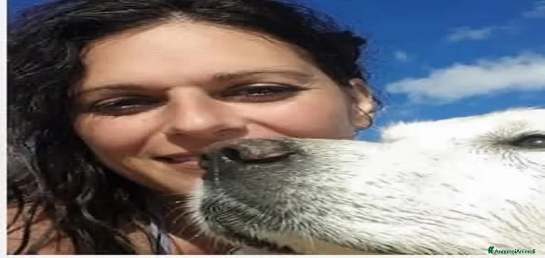 Immagine della galleria {{count}}