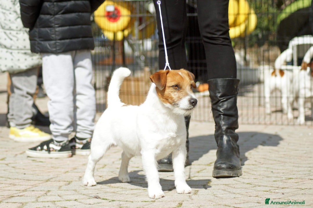 Immagine della galleria {{count}}