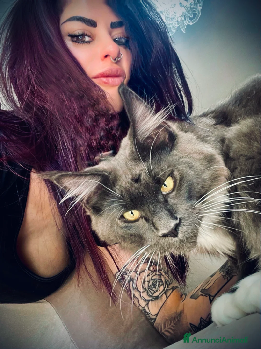 Immagine della galleria {{count}}