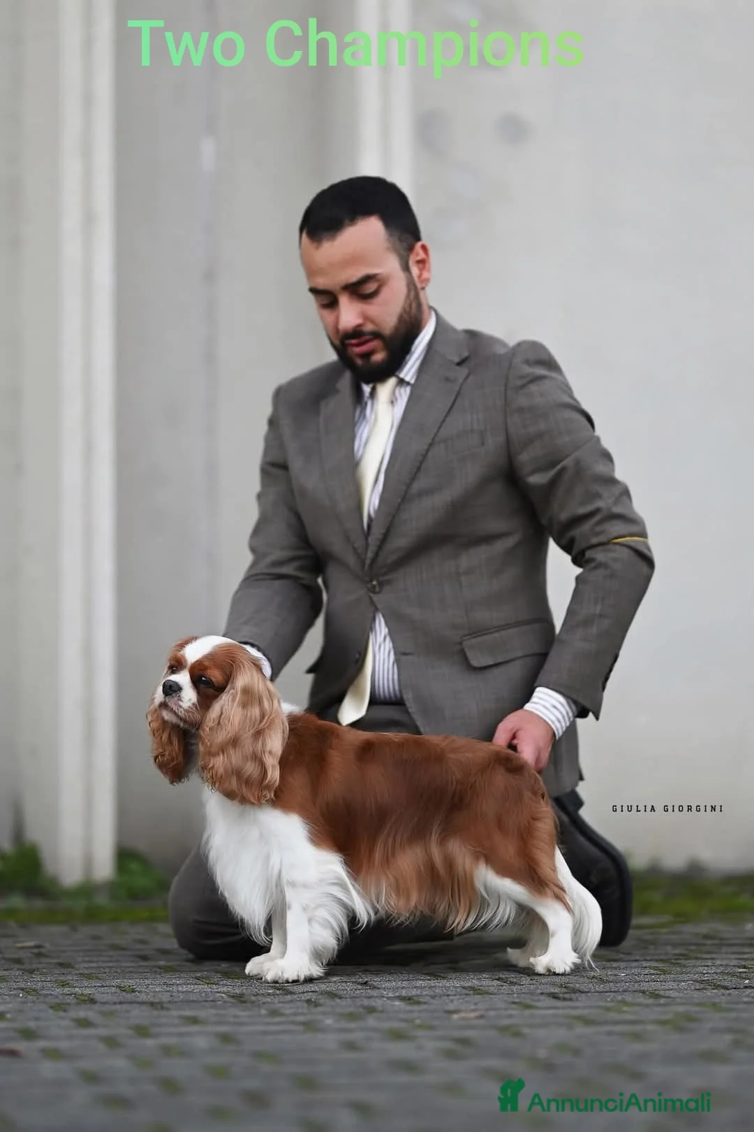 Immagine della galleria {{count}}