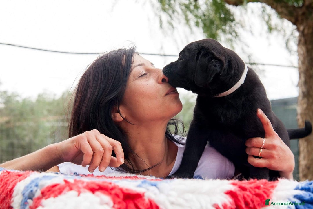 Immagine della galleria {{count}}