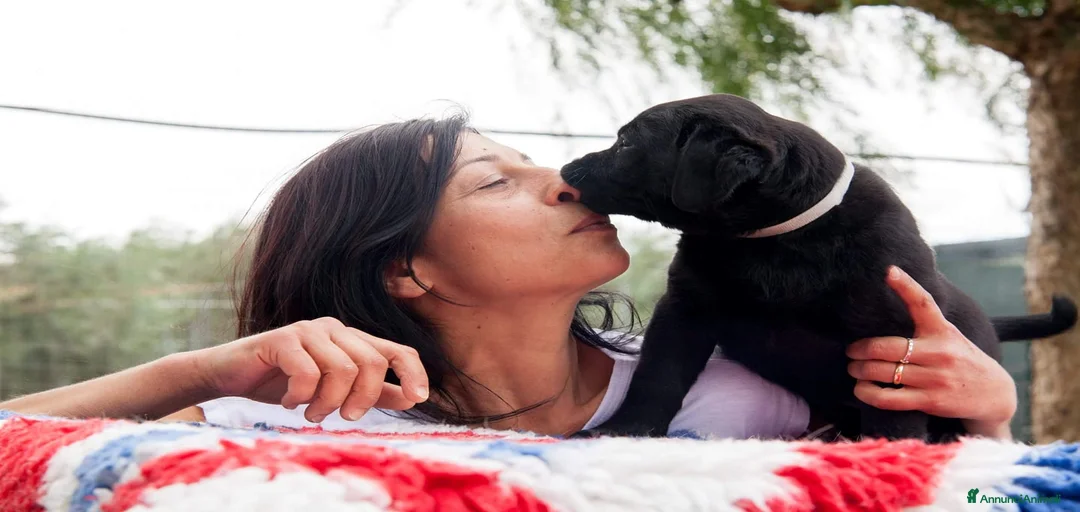 Immagine della galleria {{count}}