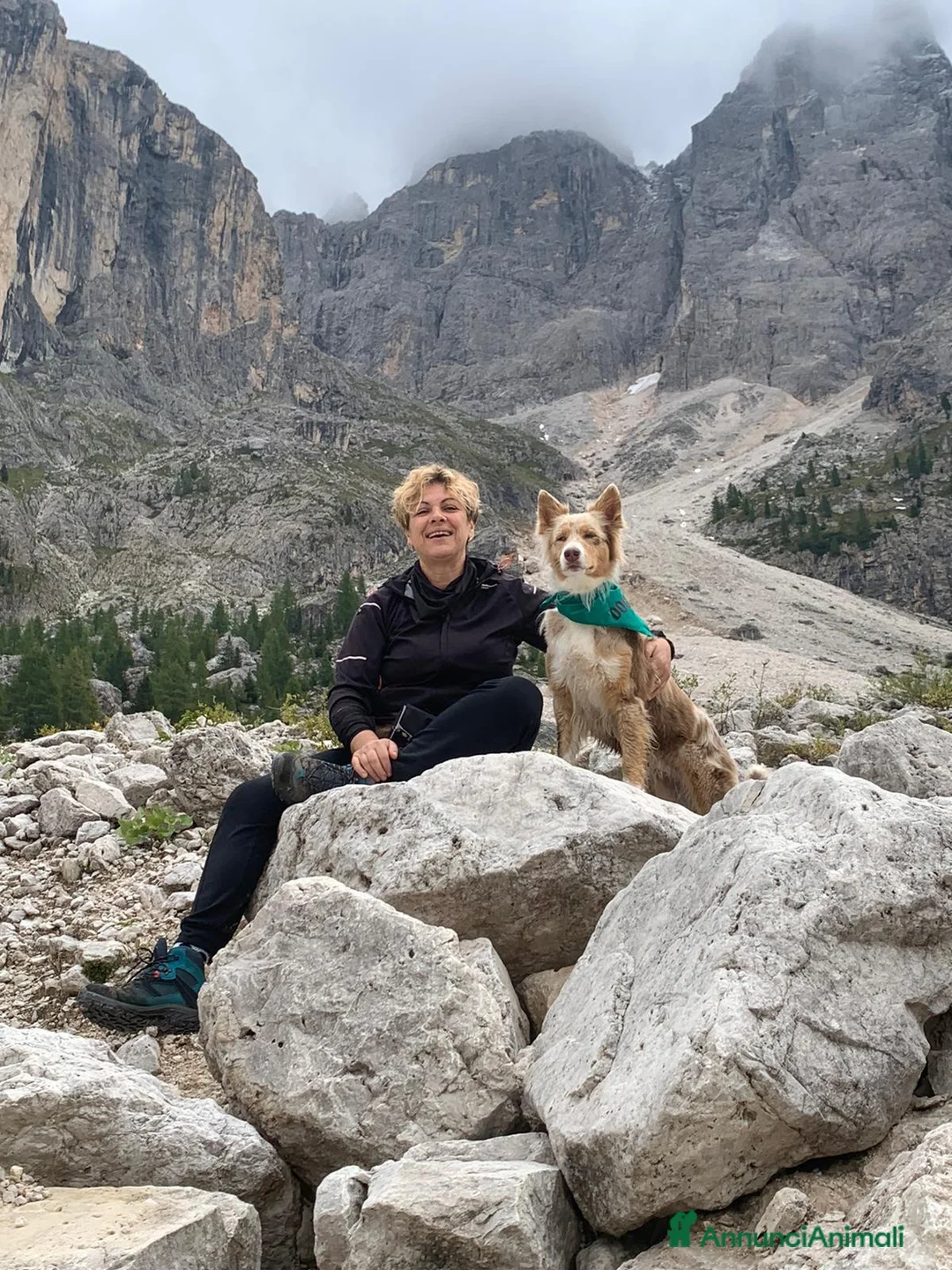 Immagine della galleria {{count}}