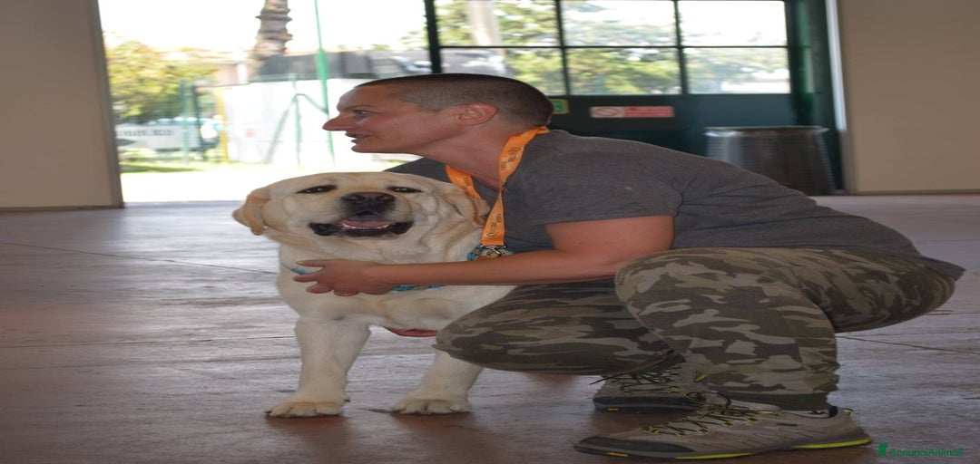 Immagine della galleria {{count}}