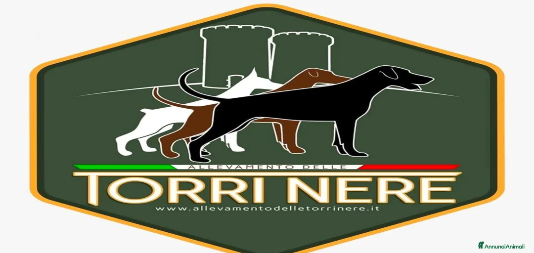 Immagine della galleria {{count}}