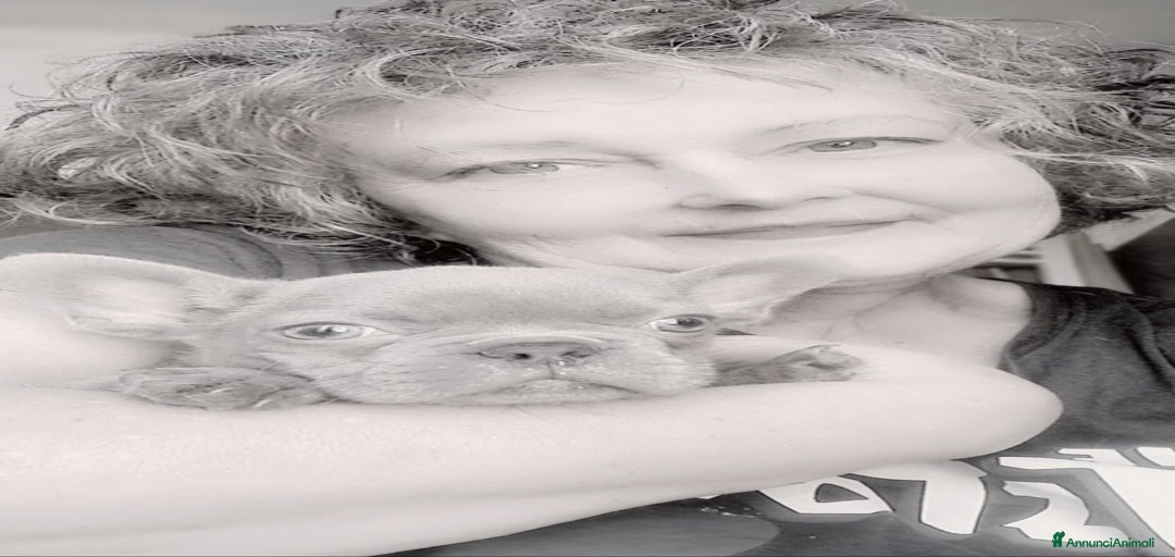 Immagine della galleria {{count}}