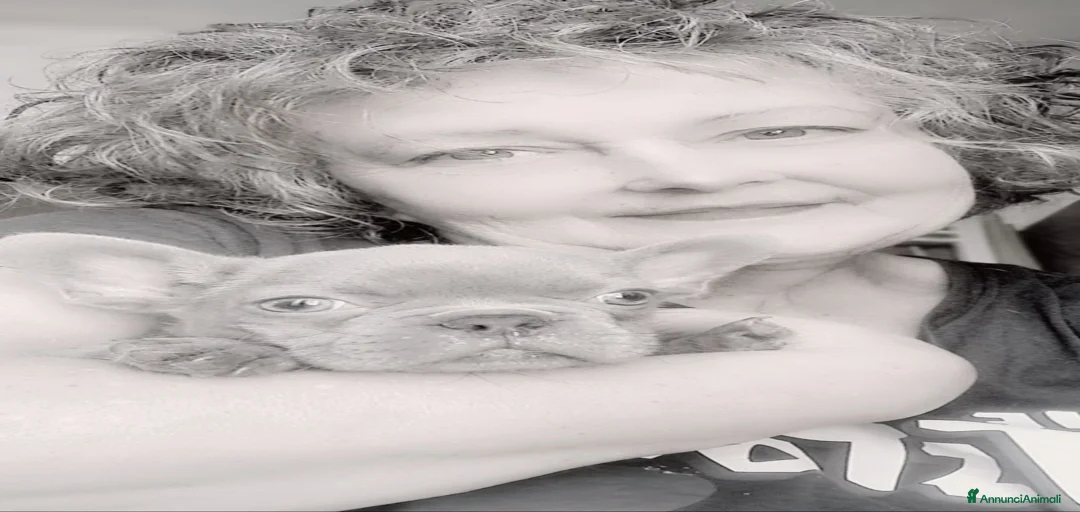 Immagine della galleria {{count}}