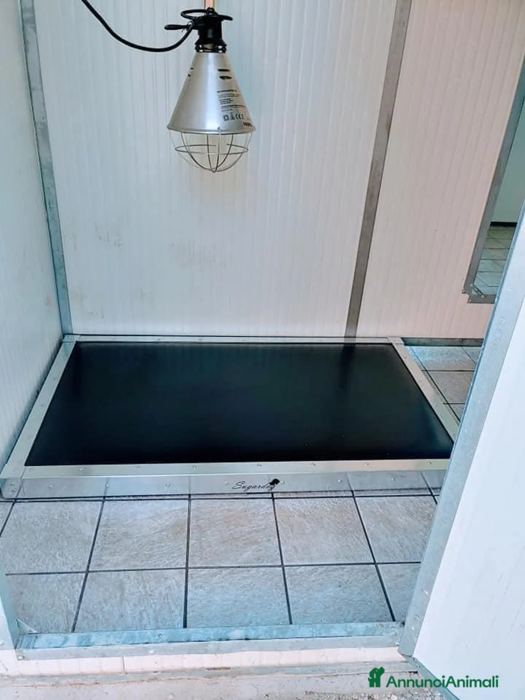 Immagine della galleria {{count}}