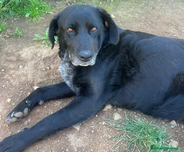 Immagine della galleria {{count}}